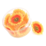 Teelichter und Kerzen - Schwimmkerzen - Sonnenblumen - Blüten
