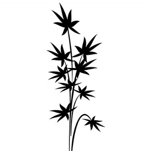 Wandtattoo Ganja Pflanzen